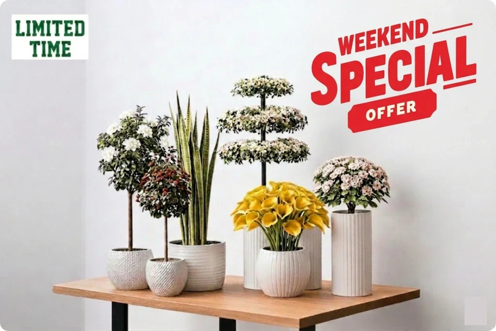 Weekend Offers!