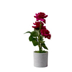 Artificial LIZZY ROSE (combo of 2)
