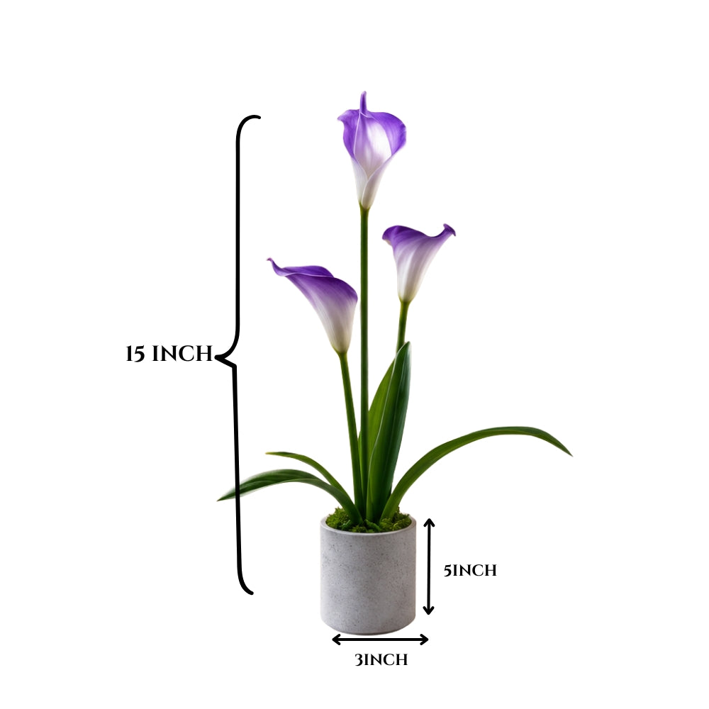 Artificial ANTHURIUM flower ( combo of 2)