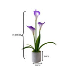 Artificial ANTHURIUM flower ( combo of 2)