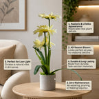 Artificial  Gerbera Daisy Combo of 3