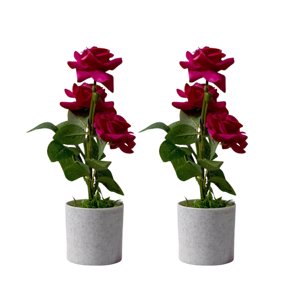 Artificial LIZZY ROSE (combo of 2)