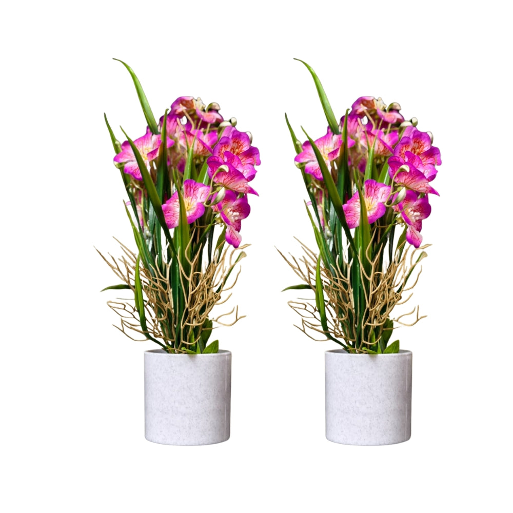 ARTIFICIAL GERANIUM FLOWER —COMBO OF 2