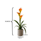 Artificial ANTHURIUM flower ( combo of 2)