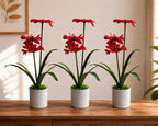 Artificial  Gerbera Daisy Combo of 3