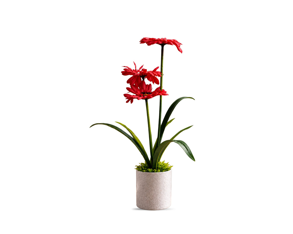Artificial  Gerbera Daisy Combo of 3