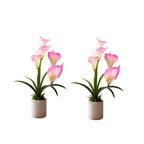 Artificial ANTHURIUM flower ( combo of 2)