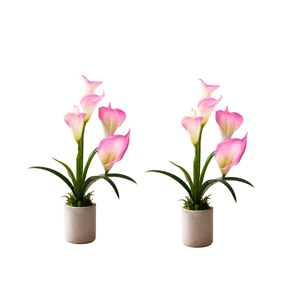 Artificial ANTHURIUM flower ( combo of 2)