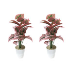 Artificial faux philodendron vine plant(combo of 2)