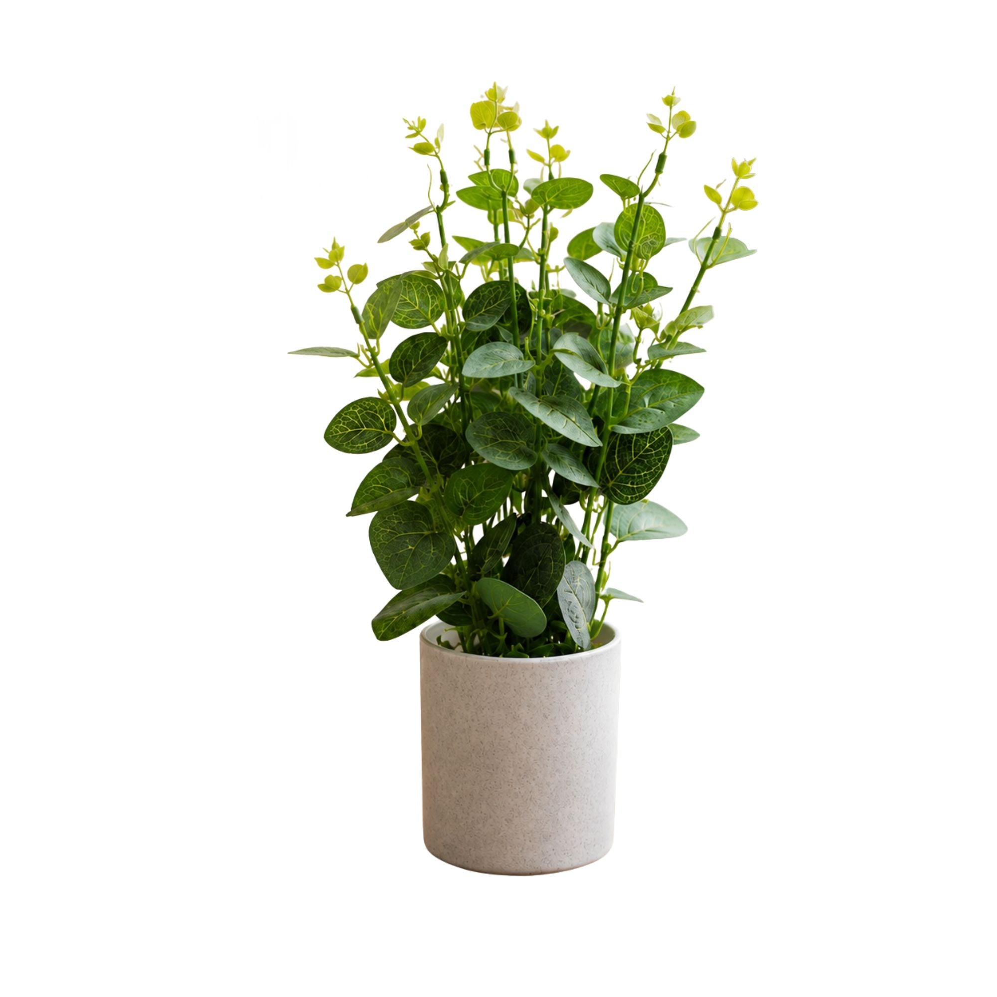 Artificial EUCALYPTUS mini pot combo of 3