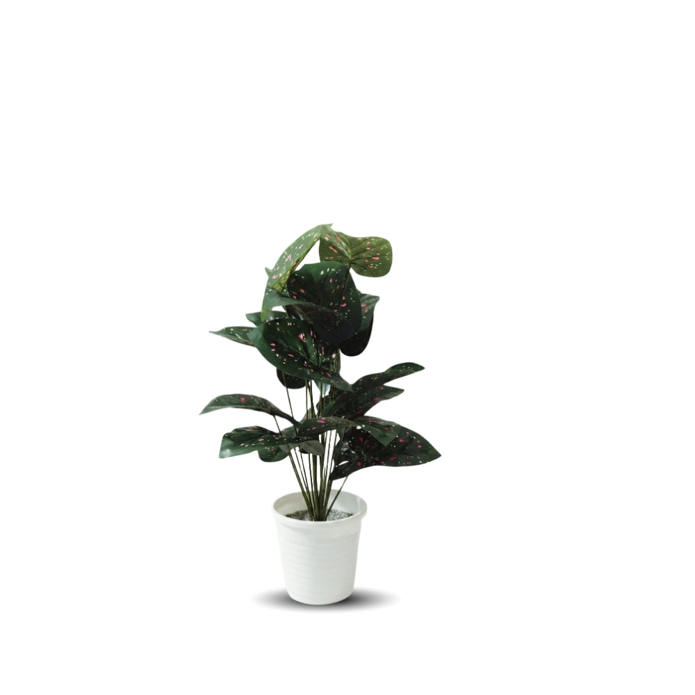 Artificial Dumb Cane Plant (P38)