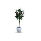 Faux Camellia Rose Plant(P33)
