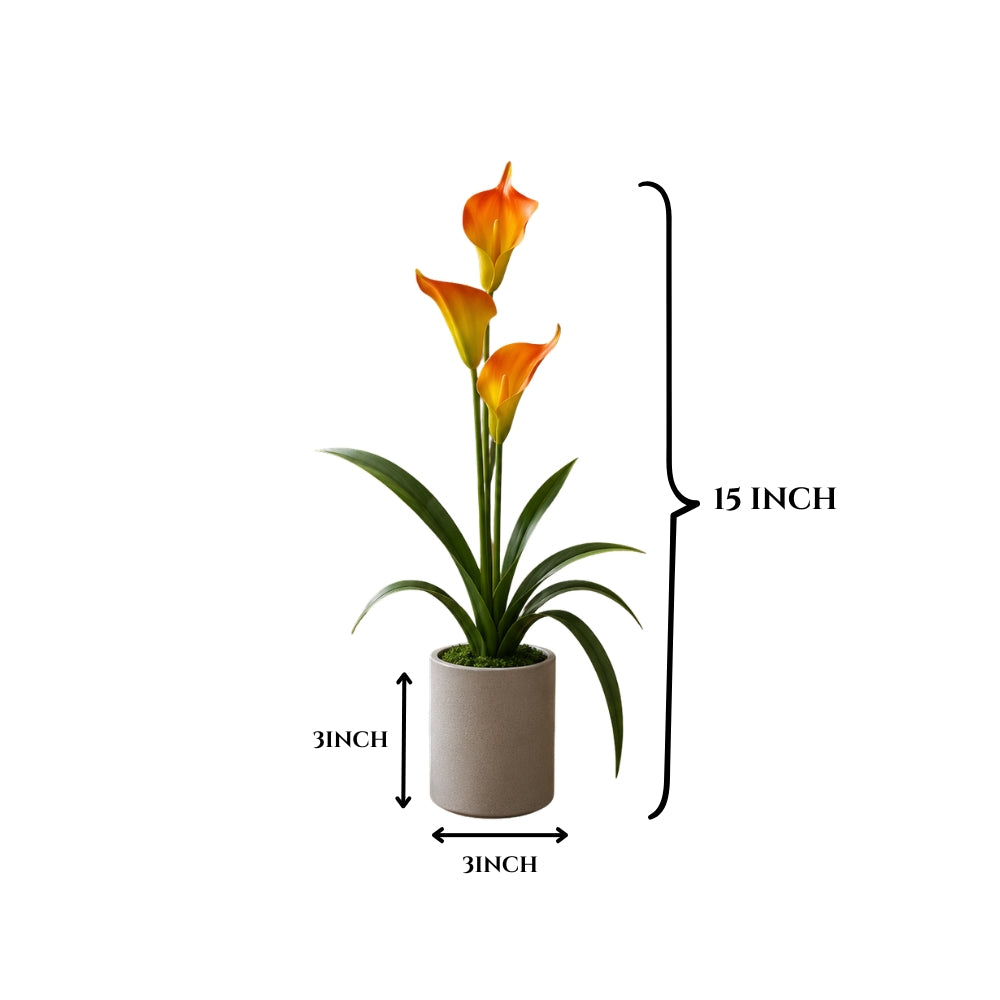 Artificial ANTHURIUM flower ( combo of 2)