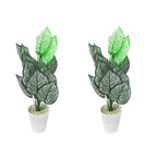 Artificial faux philodendron vine plant(combo of 2)