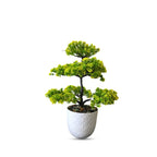 Artificial Bonsai Plant combo of 2