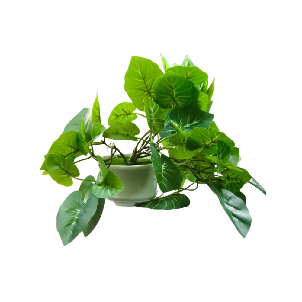 Artificial Hanging plant (Combo of 2)