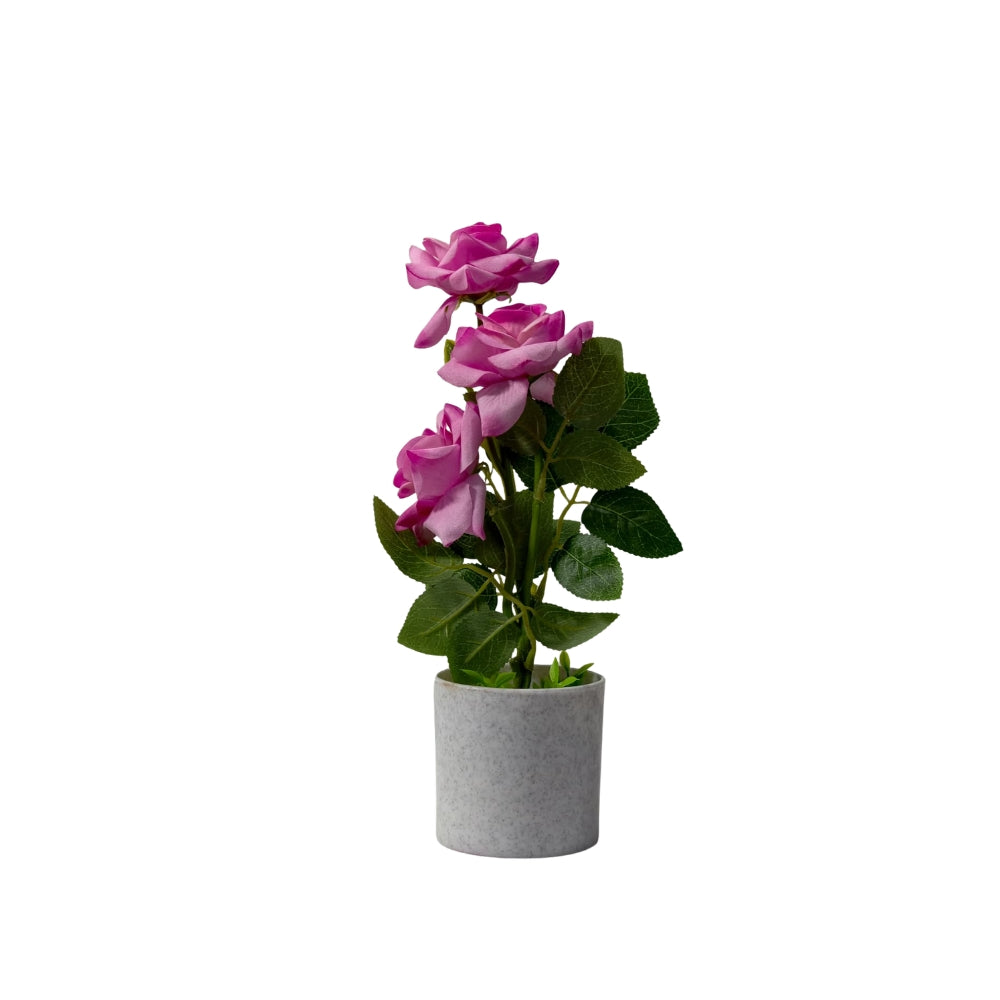 Artificial LIZZY ROSE (combo of 2)