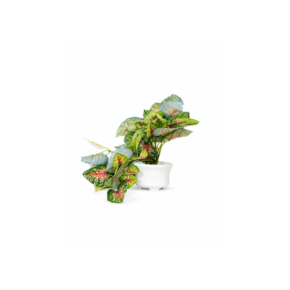 Artificial Hanging plant (Combo of 2)
