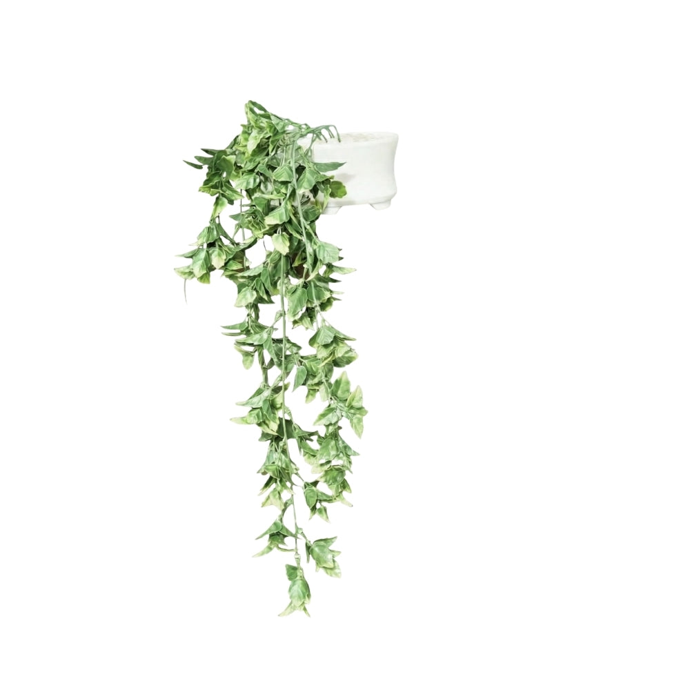 Faux Hanging Plant Dark Green Combo of 2(P3)