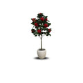 Faux Camellia Rose Plant(P33)