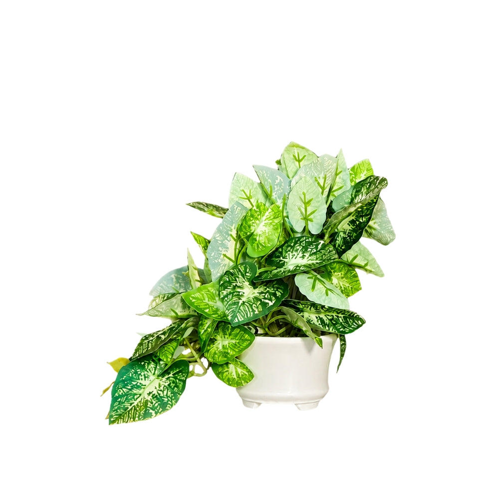 Artificial Hanging plant (Combo of 2)