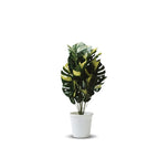 Artificial Dumb Cane Plant (P38)