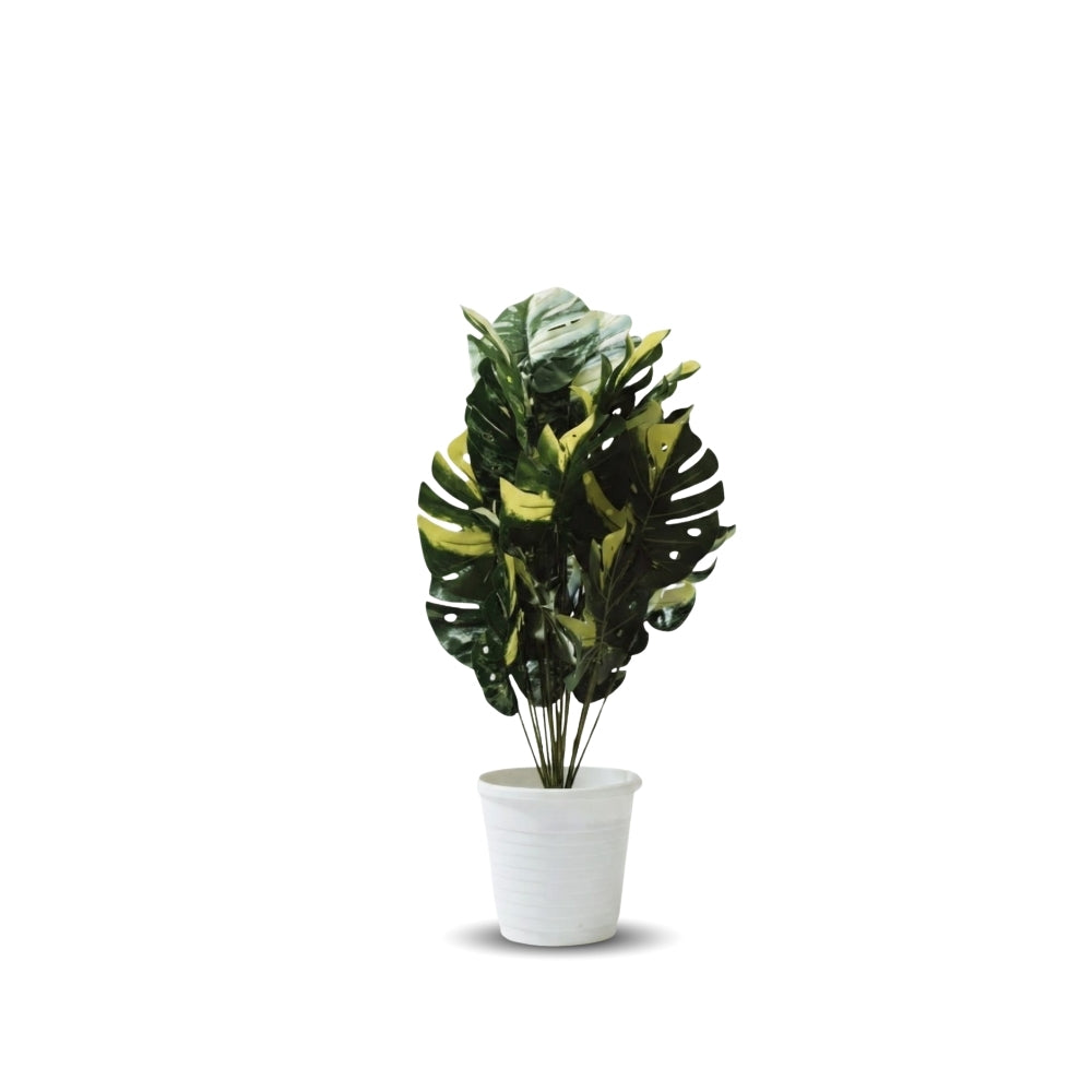 Artificial Dumb Cane Plant (P38)