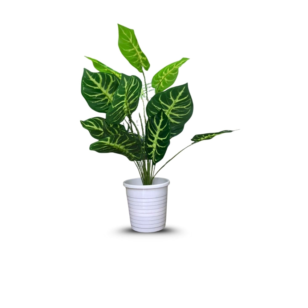 Artificial Dumb Cane Plant (P38)