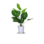 Artificial Dumb Cane Plant (P38)