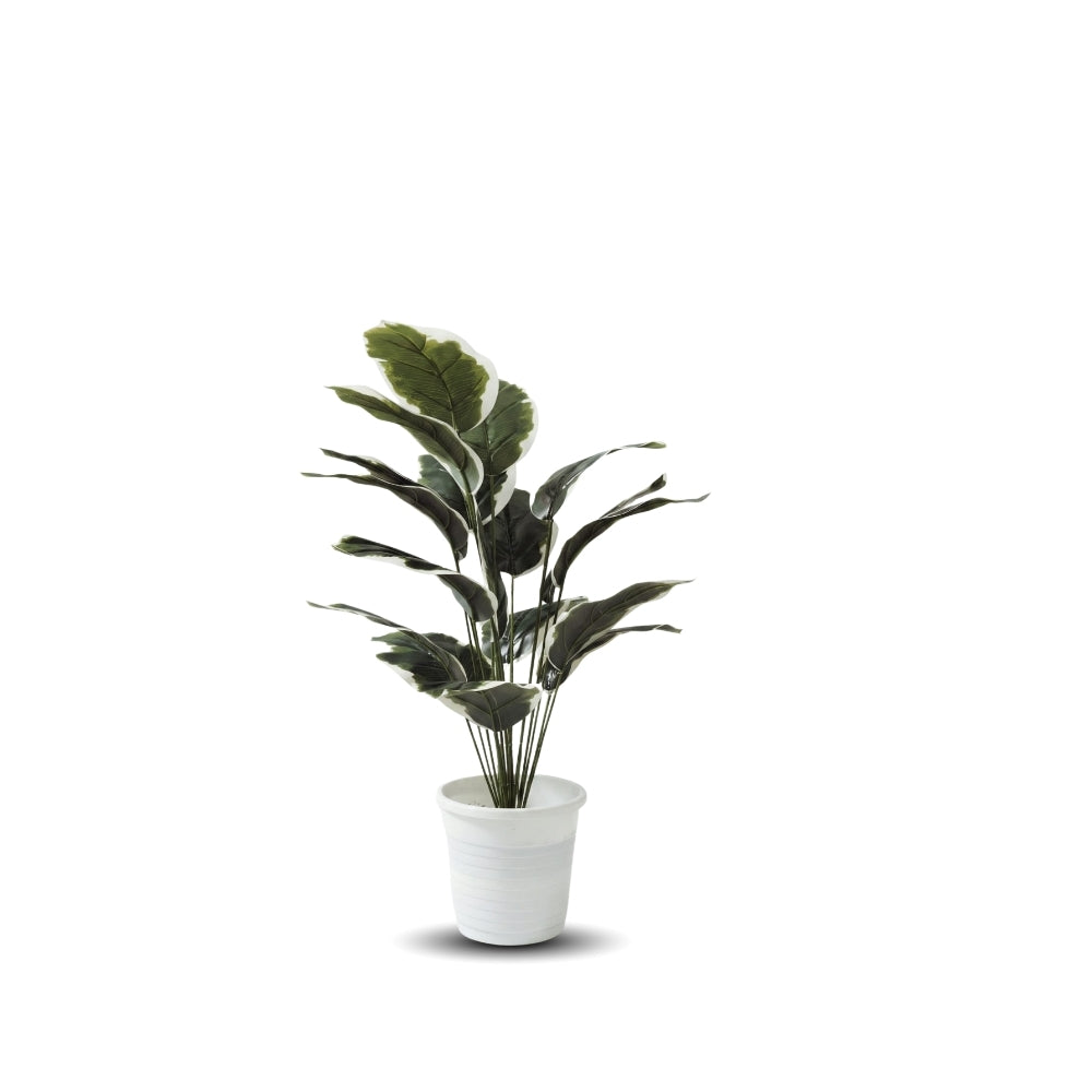 Artificial Dumb Cane Plant (P38)