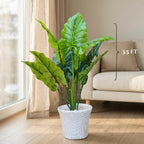 ARTIFICIAL DUMBCANE LEAF PLANT (P61)