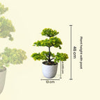 Faux Bonsai Lilly Plant with Pot(P40)