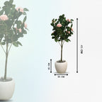 Faux Camellia Rose Plant(P33)