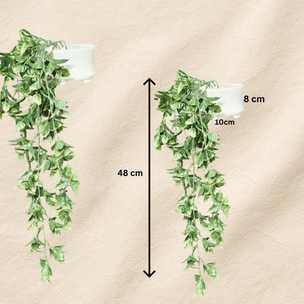 Faux Hanging Plant Dark Green Combo of 2(P3)