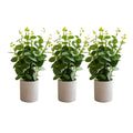 Artificial EUCALYPTUS mini pot combo of 3