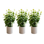 Artificial EUCALYPTUS mini pot combo of 3