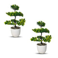 ARTIFICIAL Bonsai Plant (Combo of 2)