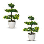 ARTIFICIAL Bonsai Plant (Combo of 2)