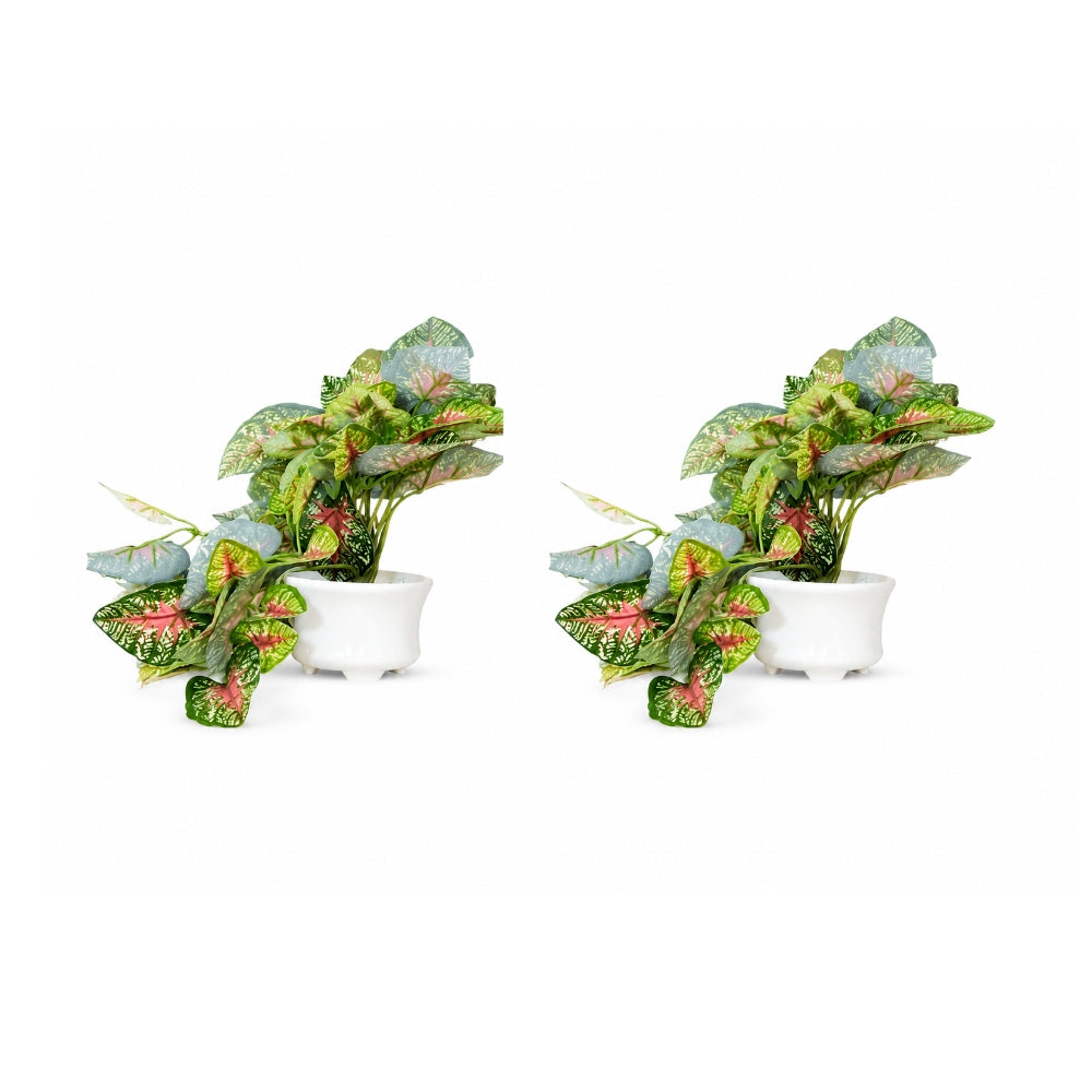 Artificial Hanging plant (Combo of 2)