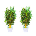 Artificial bamboo tree plant(combo of 2)