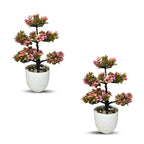 Artificial Bonsai (Combo of 2)