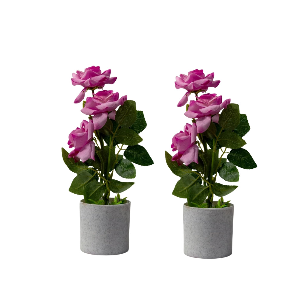Artificial LIZZY ROSE (combo of 2)