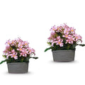 Faux Lilly with Coir Basket combo of 2 (P2)