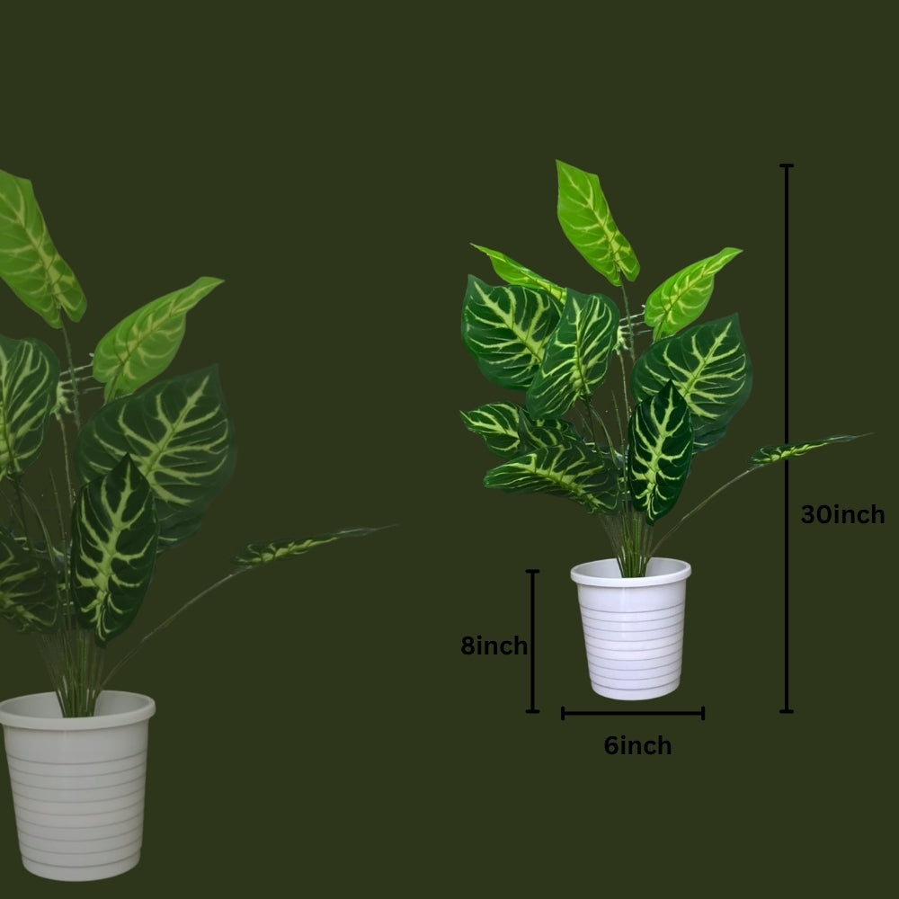 Artificial Dumb Cane Plant (P38)