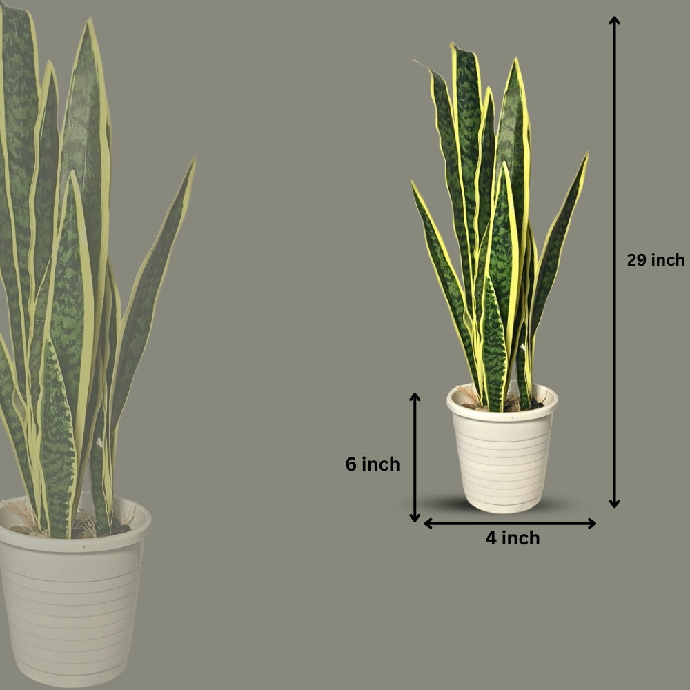 Artificial Snake Plant