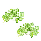 Artificial Hanging plant (Combo of 2)