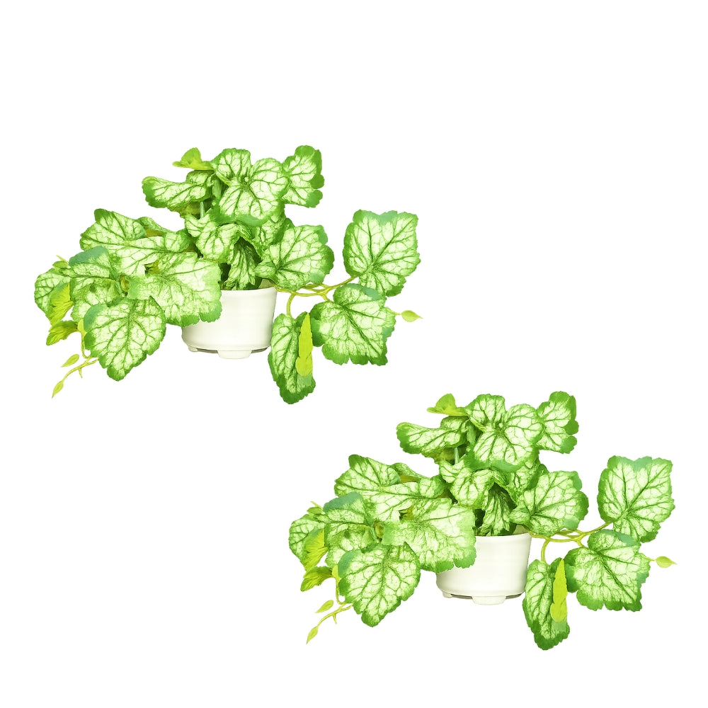 Artificial Hanging plant (Combo of 2)