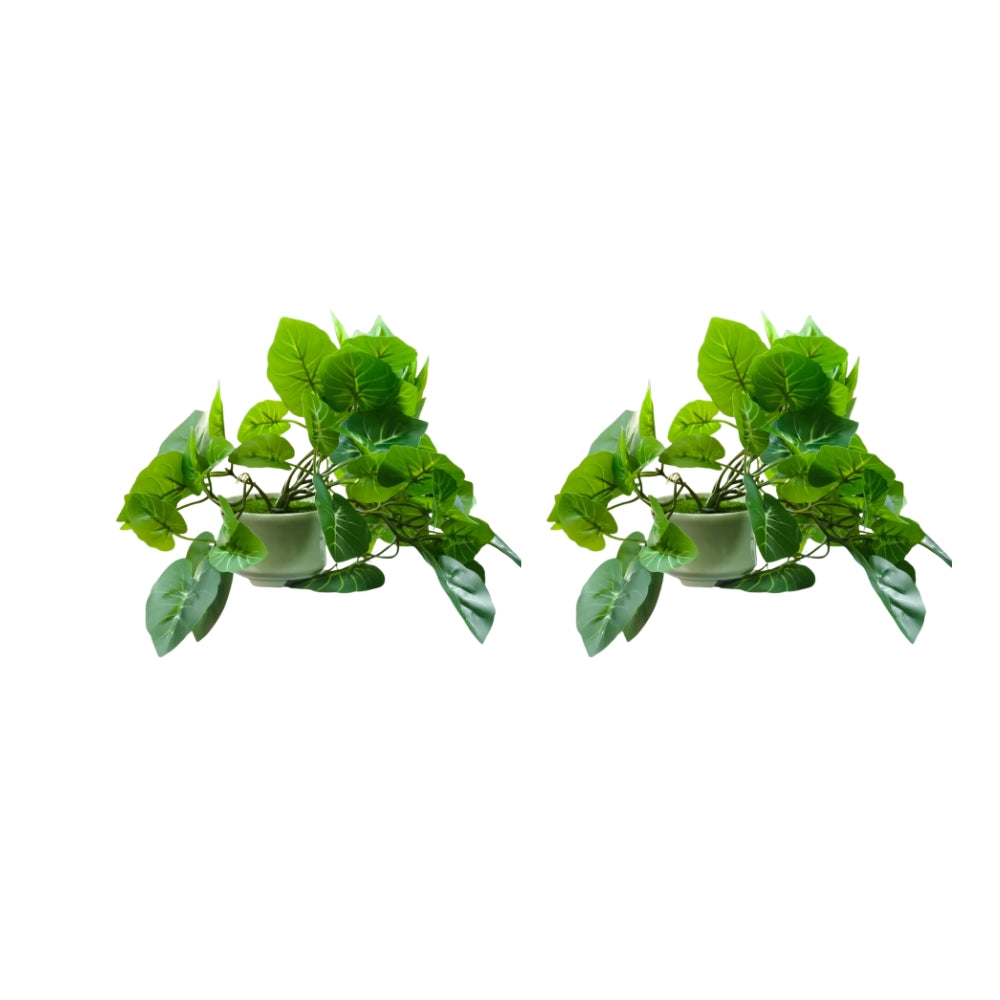 Artificial Hanging plant (Combo of 2)