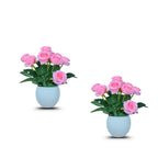 Artificial Bonsai Roses Combo of 2(P9)