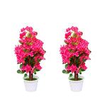 Artificial Bougainvillea flower plant(combo of 2)